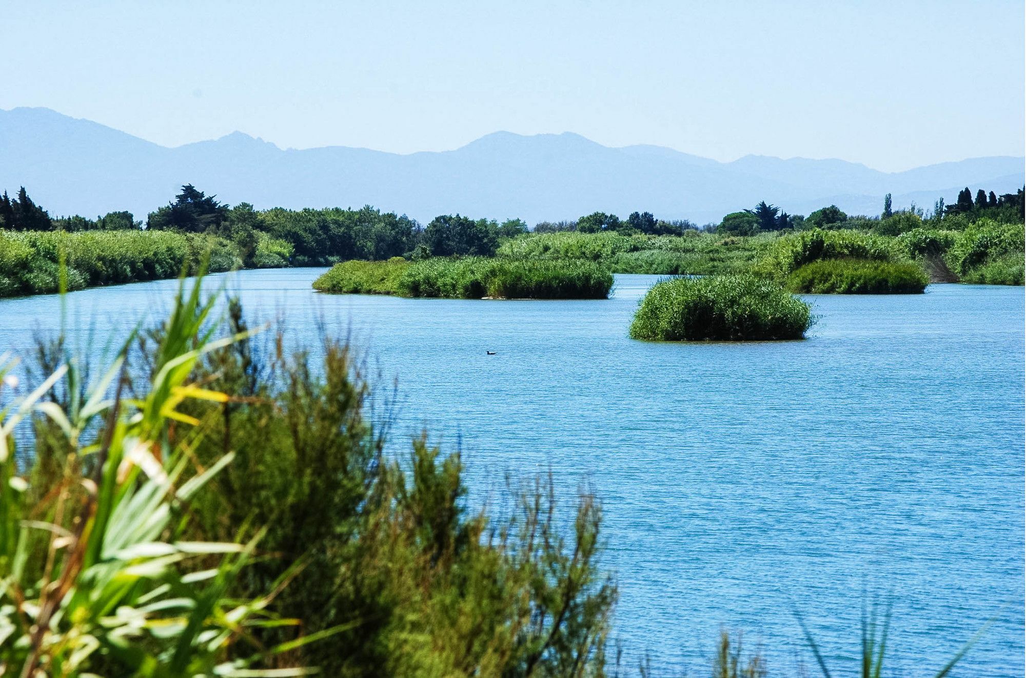 Ibis Styles Perpignan Canet En Roussillon Екстер'єр фото