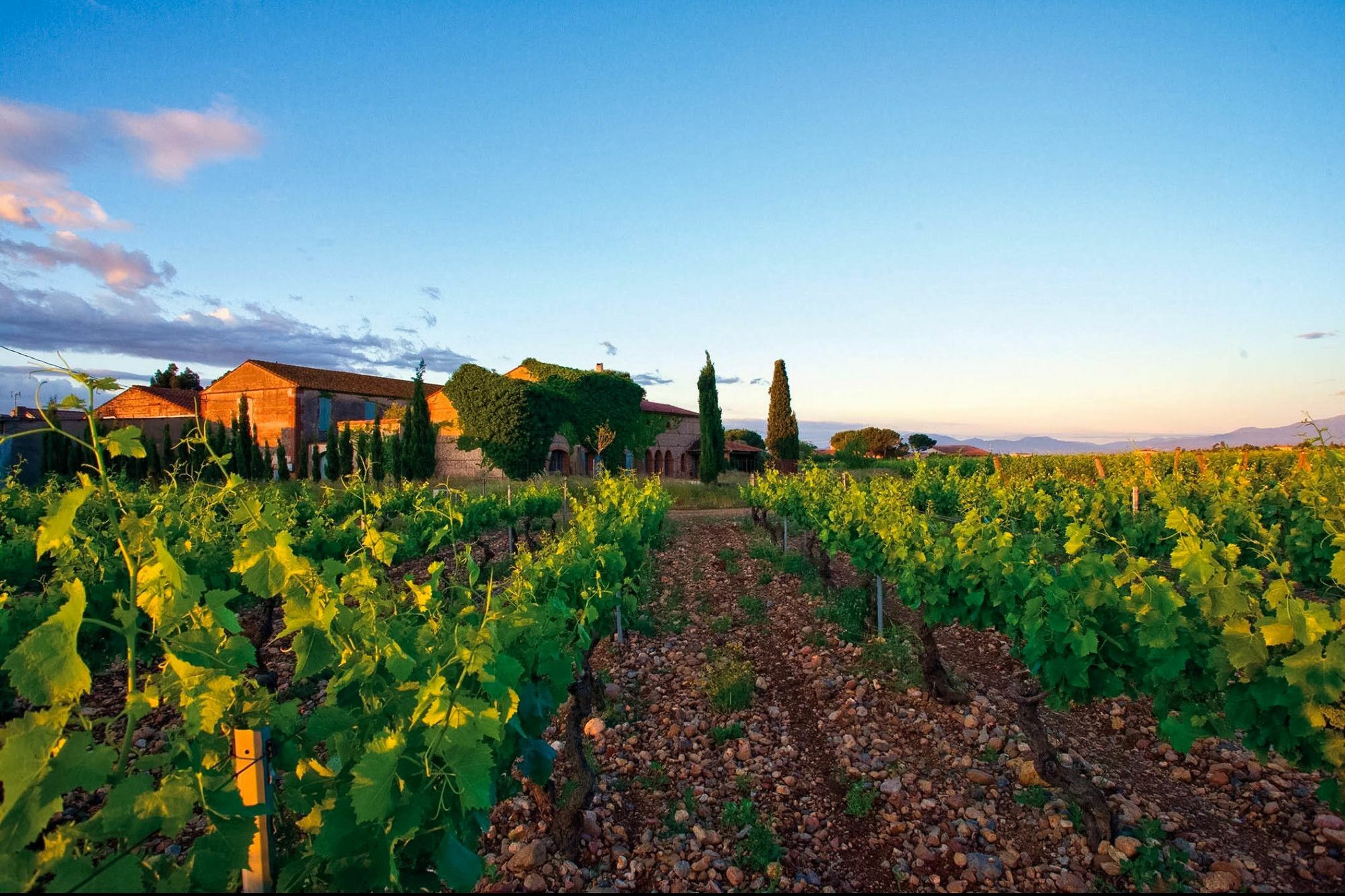 Ibis Styles Perpignan Canet En Roussillon Екстер'єр фото